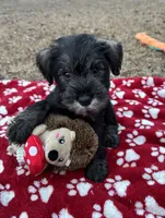 processed/ca92d148-686f-45a2-8336-089e34e1b4be/listing/db714733-246c-4b73-8948-53631af322fa/e962d860-64ad-443c-8aae-6e5d63f4307c