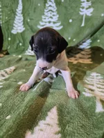 processed/caa2af20-1945-4052-8366-5a67351cab72/listing/9dd96a70-f4dc-4411-b0f7-9694bdaaf0fd/7d13c0da-58d8-43ea-8980-6a6cf6bb6751