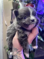 processed/cab06dec-ff4d-454e-86d2-a82657d49b1c/listing/36fca05a-c4d0-45a3-98bf-d558ee6e5c7a/05ec17a7-5cd6-45ec-aa1e-4bf4e6cb4ad1