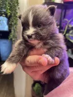 processed/cab06dec-ff4d-454e-86d2-a82657d49b1c/listing/36fca05a-c4d0-45a3-98bf-d558ee6e5c7a/20a3c412-bf8b-42c2-af27-b4a96c3eec63