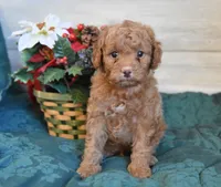 processed/cab1258b-79aa-48c1-b676-e72816dd2ad5/listing/2d655602-742a-43ca-9968-e31a7bc47a0c/1e97cd4e-af1d-4ca8-afb6-33595b185201