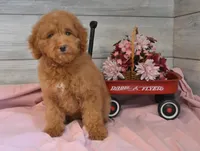 processed/cab1258b-79aa-48c1-b676-e72816dd2ad5/listing/2d655602-742a-43ca-9968-e31a7bc47a0c/2bd6b46e-c507-4b37-8937-bb90ccbfb7ec