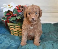 processed/cab1258b-79aa-48c1-b676-e72816dd2ad5/listing/2d655602-742a-43ca-9968-e31a7bc47a0c/52fb98fd-b171-4ebe-9ad1-b26449e24697