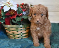 processed/cab1258b-79aa-48c1-b676-e72816dd2ad5/listing/2d655602-742a-43ca-9968-e31a7bc47a0c/66efaae3-9b9c-40eb-81c5-b67de48fbd97