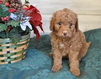 processed/cab1258b-79aa-48c1-b676-e72816dd2ad5/listing/2d655602-742a-43ca-9968-e31a7bc47a0c/8a9bc8f9-f4f1-4273-86bd-67a6580ae779