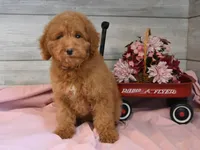 processed/cab1258b-79aa-48c1-b676-e72816dd2ad5/listing/2d655602-742a-43ca-9968-e31a7bc47a0c/bd645ed6-b8ec-4d49-aad7-8443162156cc