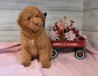 processed/cab1258b-79aa-48c1-b676-e72816dd2ad5/listing/2d655602-742a-43ca-9968-e31a7bc47a0c/f9f5be42-629f-41eb-9227-5ddddc4a335a