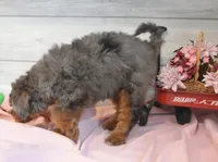 processed/cab1258b-79aa-48c1-b676-e72816dd2ad5/listing/60a15429-3566-4b32-989b-15ec6d31a3d7/0e56ded5-7816-4581-908a-756e64fe3a2e