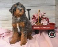 processed/cab1258b-79aa-48c1-b676-e72816dd2ad5/listing/60a15429-3566-4b32-989b-15ec6d31a3d7/34477c43-3d1b-4d7b-9e02-cdbcc2f86b40