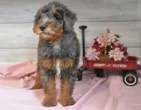 processed/cab1258b-79aa-48c1-b676-e72816dd2ad5/listing/60a15429-3566-4b32-989b-15ec6d31a3d7/37f4d750-3897-43d3-949e-ffc3f8d727db