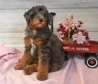 processed/cab1258b-79aa-48c1-b676-e72816dd2ad5/listing/60a15429-3566-4b32-989b-15ec6d31a3d7/6eac81c8-4588-4edc-b8c5-945a333abc68