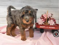 processed/cab1258b-79aa-48c1-b676-e72816dd2ad5/listing/60a15429-3566-4b32-989b-15ec6d31a3d7/af9df794-402b-48bf-9b88-347b459f543c