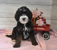 processed/cab1258b-79aa-48c1-b676-e72816dd2ad5/listing/a0e8c4e4-785a-4667-b0db-8a6226ff0f48/096009d7-2683-46ea-be9f-e216f8e5fb31