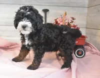 processed/cab1258b-79aa-48c1-b676-e72816dd2ad5/listing/a0e8c4e4-785a-4667-b0db-8a6226ff0f48/312fb637-d26a-4850-a53e-122d656e4131