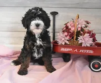 processed/cab1258b-79aa-48c1-b676-e72816dd2ad5/listing/a0e8c4e4-785a-4667-b0db-8a6226ff0f48/78ce7724-5446-4b00-97ba-13f8e8992663