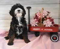 processed/cab1258b-79aa-48c1-b676-e72816dd2ad5/listing/a0e8c4e4-785a-4667-b0db-8a6226ff0f48/c5f65c97-e55f-46ba-911d-ab4e4c078569