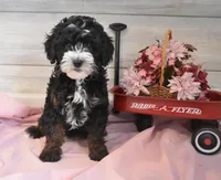 processed/cab1258b-79aa-48c1-b676-e72816dd2ad5/listing/a0e8c4e4-785a-4667-b0db-8a6226ff0f48/c946d0fb-2af4-47d3-ba05-66e143a49a64