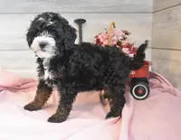 processed/cab1258b-79aa-48c1-b676-e72816dd2ad5/listing/a0e8c4e4-785a-4667-b0db-8a6226ff0f48/e4935160-32ba-4758-ac60-d6a1cdd5d7e8