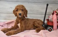 processed/cab1258b-79aa-48c1-b676-e72816dd2ad5/listing/acfc88dd-4b05-42ca-95ac-5c89fb54d617/0903f49e-42a1-4acd-9a55-097b375aba2c