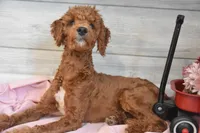 processed/cab1258b-79aa-48c1-b676-e72816dd2ad5/listing/acfc88dd-4b05-42ca-95ac-5c89fb54d617/159adfbe-63b5-4554-ab06-81ae61c6643e