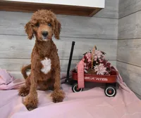 processed/cab1258b-79aa-48c1-b676-e72816dd2ad5/listing/acfc88dd-4b05-42ca-95ac-5c89fb54d617/37ccf5e1-6fc1-4464-87c7-ab46f9da3dc7