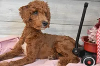 processed/cab1258b-79aa-48c1-b676-e72816dd2ad5/listing/acfc88dd-4b05-42ca-95ac-5c89fb54d617/5734f175-7d89-43d5-b7f3-3ba2e4eee546