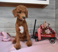 processed/cab1258b-79aa-48c1-b676-e72816dd2ad5/listing/acfc88dd-4b05-42ca-95ac-5c89fb54d617/8a8773b8-0a0a-4cab-9868-0183bc21fd64