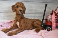 processed/cab1258b-79aa-48c1-b676-e72816dd2ad5/listing/acfc88dd-4b05-42ca-95ac-5c89fb54d617/b7af4358-847f-46f4-b738-7644cb4c1e86