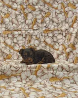 Jagger, a male Yorkshire Terrier for sale in Bay Minette, AL – 3 of 3