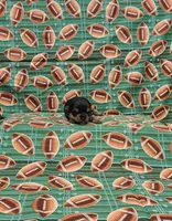 Elvis, a male Yorkshire Terrier for sale in Bay Minette, AL – 2 of 3