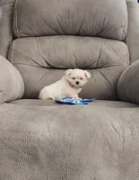 Maizy , a female Maltese for sale in Bay Minette, AL – 2 of 3