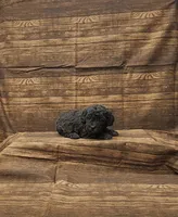 Layla, a female Poodle - Toy  for sale in Bay Minette, AL – 1 of 3