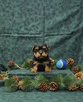 processed/cab4a211-47c1-4317-afea-e9c95e667bd6/listing/eb0be1a2-755b-4b79-8a85-3c818451c822/062dc9fc-bbf6-41be-9e16-872d3d20d272