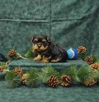 processed/cab4a211-47c1-4317-afea-e9c95e667bd6/listing/eb0be1a2-755b-4b79-8a85-3c818451c822/f66d45f5-de5e-4b01-9ec0-c6cb07750df4