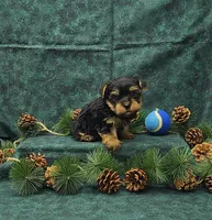 processed/cab4a211-47c1-4317-afea-e9c95e667bd6/listing/eb0be1a2-755b-4b79-8a85-3c818451c822/fcffb231-7464-4053-8662-9abd1f419015