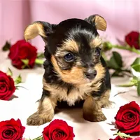 processed/cac101ce-a9ca-424a-aa61-1dbfa7efcf6e/listing/881112c5-85ea-4eb3-a399-540056b87c24/8af1a16a-48d4-4dec-8873-5f64958ad8ee