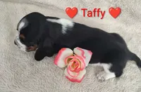 processed/cacec7ae-616a-4375-af71-413022c24a8d/listing/0aed1ae3-aefa-4e4f-85c4-27a9eaa6338f/3c78c46f-e4dd-462a-a205-dbd1c4bd7406