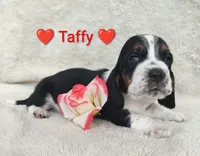 processed/cacec7ae-616a-4375-af71-413022c24a8d/listing/0aed1ae3-aefa-4e4f-85c4-27a9eaa6338f/76cff153-6a49-4343-8a6c-1de6983e1a02