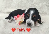 processed/cacec7ae-616a-4375-af71-413022c24a8d/listing/0aed1ae3-aefa-4e4f-85c4-27a9eaa6338f/c8b21d6d-b2ef-4d3a-9339-e4d85012323d