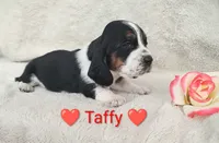 processed/cacec7ae-616a-4375-af71-413022c24a8d/listing/0aed1ae3-aefa-4e4f-85c4-27a9eaa6338f/cd399bc9-aa38-4077-a86a-115de918edd1