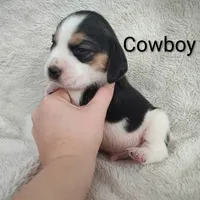 processed/cacec7ae-616a-4375-af71-413022c24a8d/listing/1d9eb873-4de3-4e1b-aa7d-c05b6e21956f/0d57963f-5cdb-4a7b-b6df-28a46f1c102e