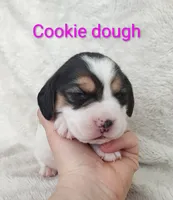 processed/cacec7ae-616a-4375-af71-413022c24a8d/listing/67b86e7f-783e-4aff-8c46-8dbbe7d10e93/907494e2-88bb-49bd-a5d8-c1a55a0d0345