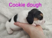 processed/cacec7ae-616a-4375-af71-413022c24a8d/listing/67b86e7f-783e-4aff-8c46-8dbbe7d10e93/e3d0c6cf-43d7-4e92-9093-2508b12bd8c4