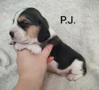 processed/cacec7ae-616a-4375-af71-413022c24a8d/listing/7755b3f0-a8a0-478f-99cf-2f7a39095a9c/8194bb65-4e29-4171-a9c8-5ea1ca39d30d