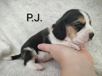 processed/cacec7ae-616a-4375-af71-413022c24a8d/listing/7755b3f0-a8a0-478f-99cf-2f7a39095a9c/af07391e-5e5c-4bba-8020-55c455a521cf