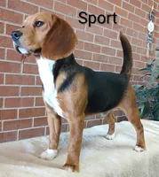 processed/cacec7ae-616a-4375-af71-413022c24a8d/listing/7b68077e-59d6-4d7e-bf1a-a57c276b64a1/00d9a92d-a506-44c2-a4f5-af75e589d0e3