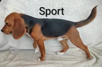 processed/cacec7ae-616a-4375-af71-413022c24a8d/listing/7b68077e-59d6-4d7e-bf1a-a57c276b64a1/07e4bf66-0680-46d0-99ba-42ef4ac1b6dd