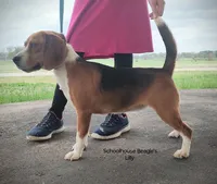 processed/cacec7ae-616a-4375-af71-413022c24a8d/listing/7b68077e-59d6-4d7e-bf1a-a57c276b64a1/31368f3e-8f90-4848-a93a-c68f1426378e