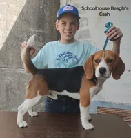 processed/cacec7ae-616a-4375-af71-413022c24a8d/listing/7b68077e-59d6-4d7e-bf1a-a57c276b64a1/c3d98bb9-f0ac-4af2-ade3-f1ff633949f0