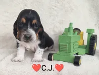 processed/cacec7ae-616a-4375-af71-413022c24a8d/listing/b8e7c702-efe5-443b-92ad-78565123f3d7/762ef07a-9ac4-4dc1-ba93-321d42e59530